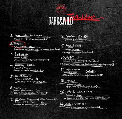 bts dark and wild photoshoot|bts dark and wild tracklist.